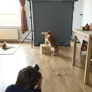 werkfoto vierk_bew