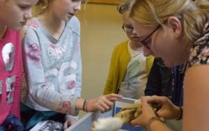 weekdn wetenschap, plastinaten, plastinaat, dierdonorcodicil