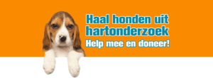 honden uit hartonderzoek