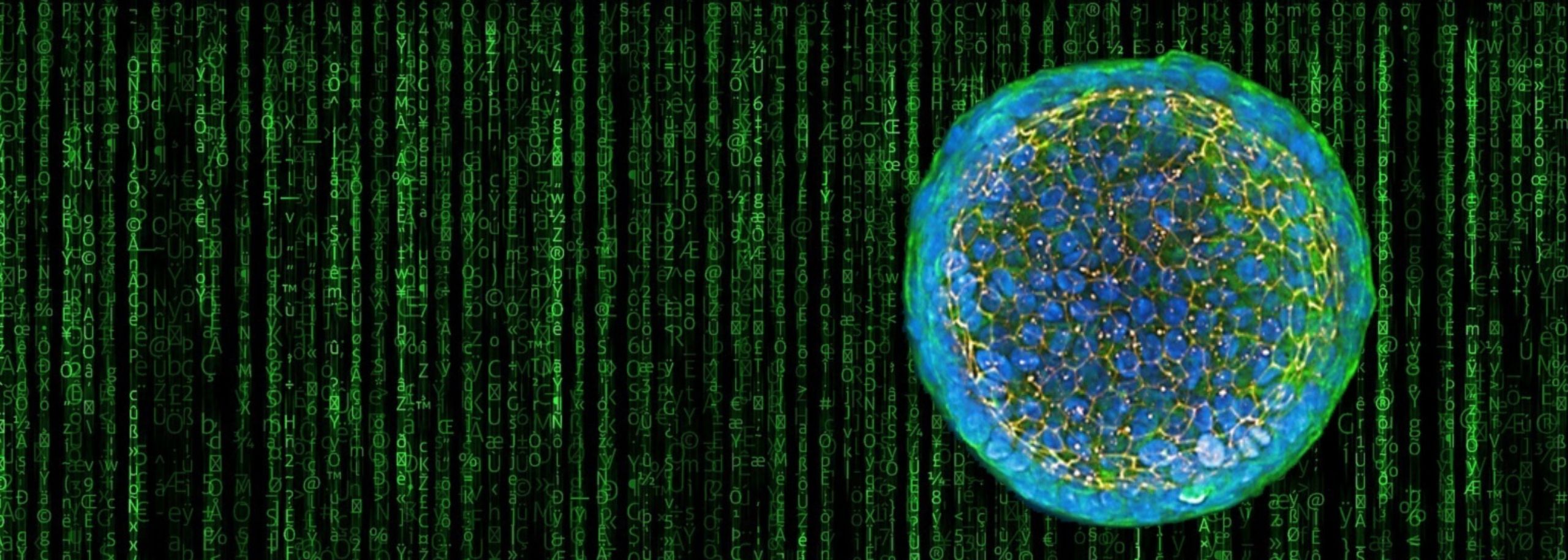 Galapogos TNO Proefdiervrij samenwerking