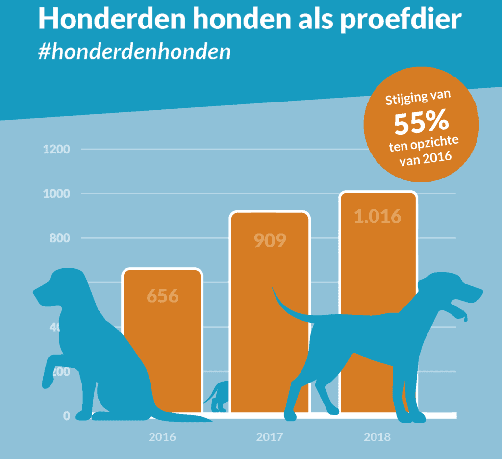 honderden honden