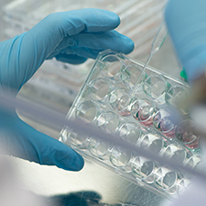 Alles over proefdieren