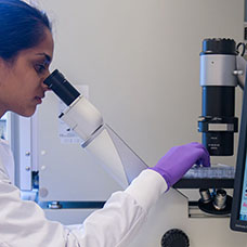 Zo bereiken we ons doel