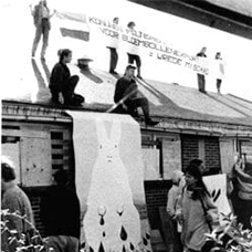 Actie tegen dierproeven