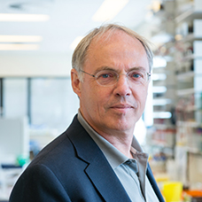 Prof. dr. Hans Clevers