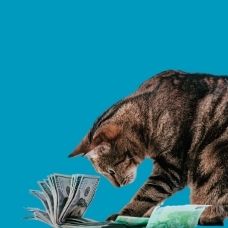 kat jaarverslag Proefdiervrij