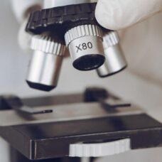 Blog Edoardo Carnesecchi