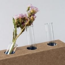 lab bloemen wetenschap naik lonsain lab bloemen wetenschap naik lonsain