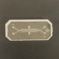 Untitled design (5) long chip corona