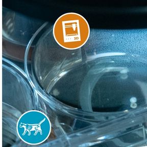 Proefdiervrij Venture Challenge 2022 teams