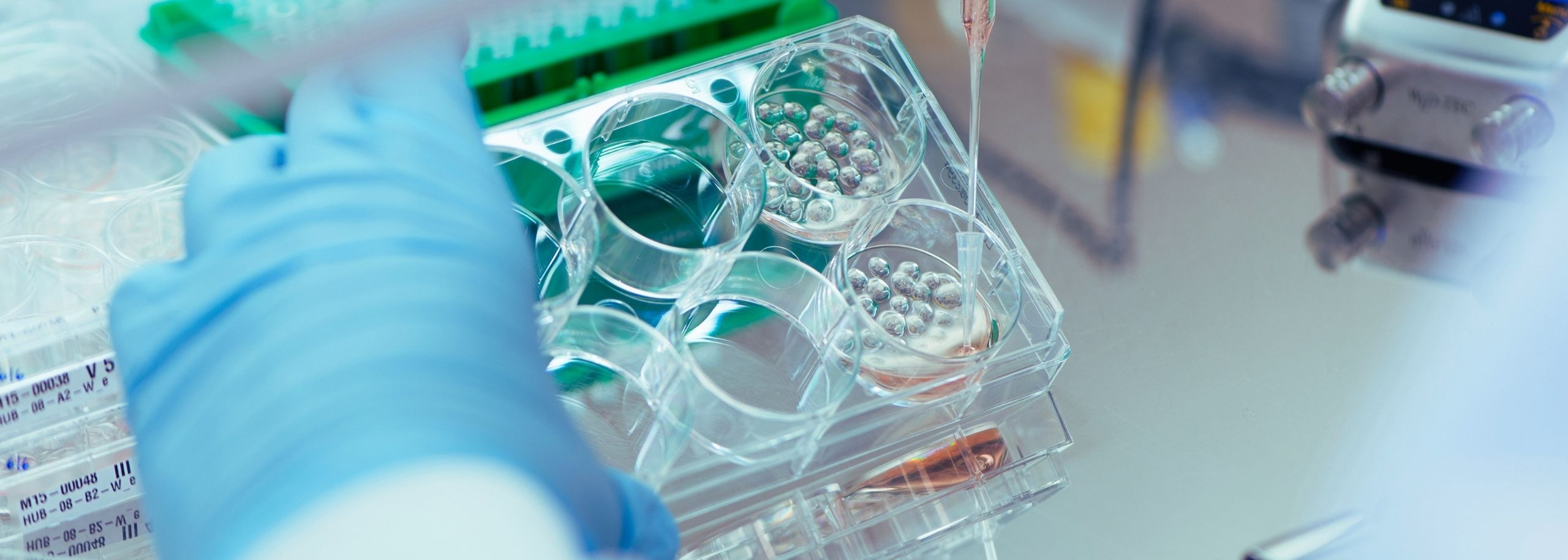 Hugo van Poelgeestprijs cellen