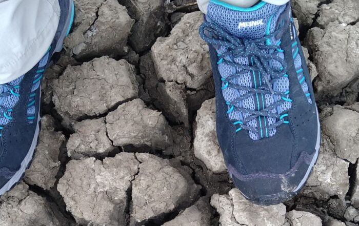 Nijmeegse vierdaagse schoenen van Sonja
