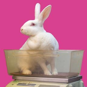 Red Europese cosmeticawet