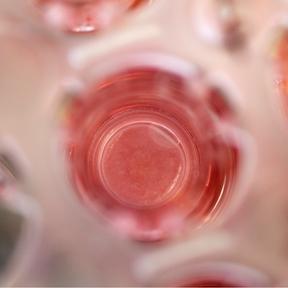 Huidmodel 288 x 288 Huidmodel