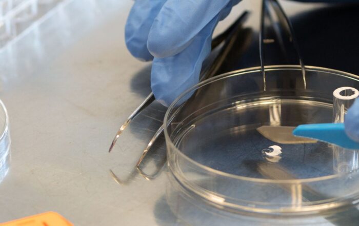 Proefdiervrij huidonderzoek Ellen