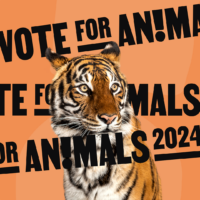 Tijger met de tekst 'Vote for Animals'