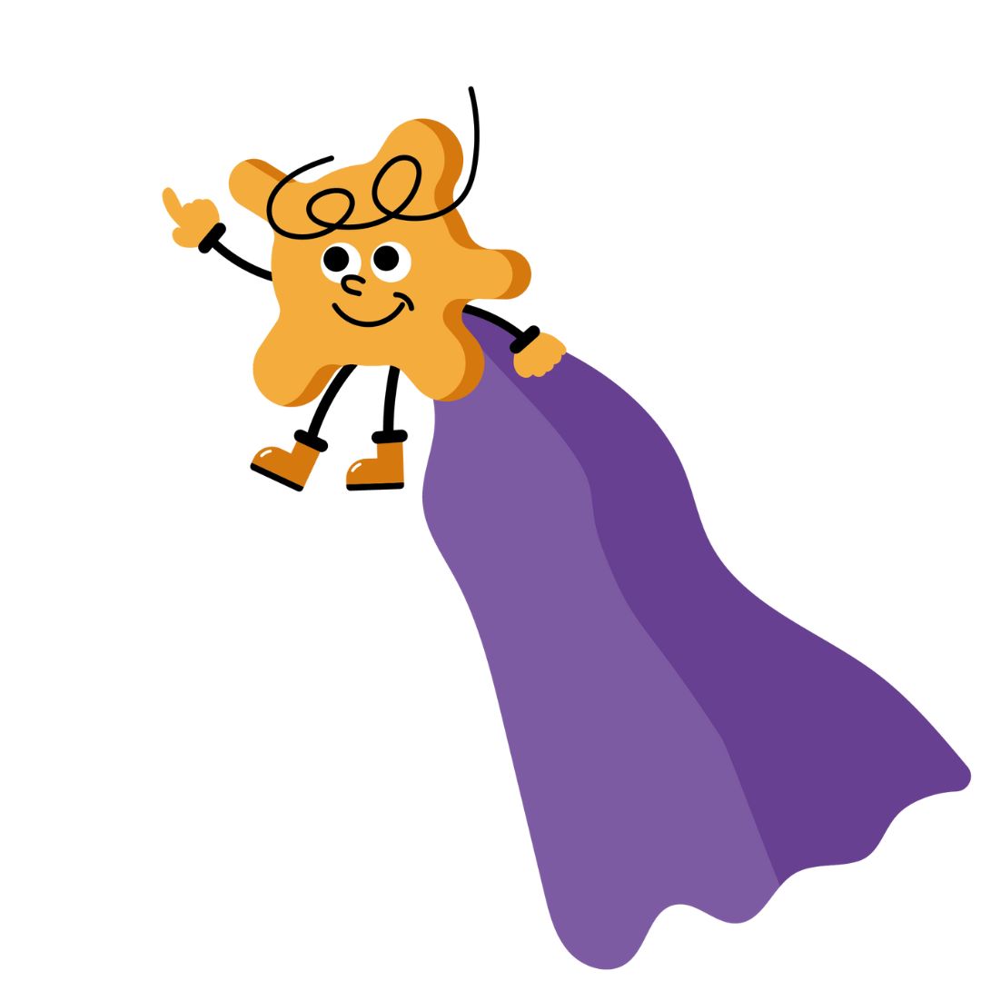 Proefdiervrij_Held_Organoid