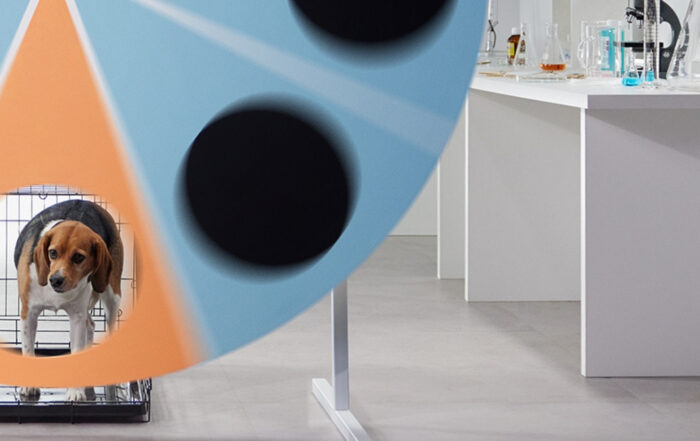 Beagle Lola achter ronddraaiend rad