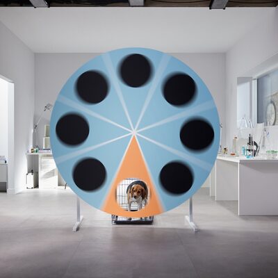 Blauw rad met 8 vakjes waarvan eentje open is. Daar komt Lola, een ex-proefhond, uit