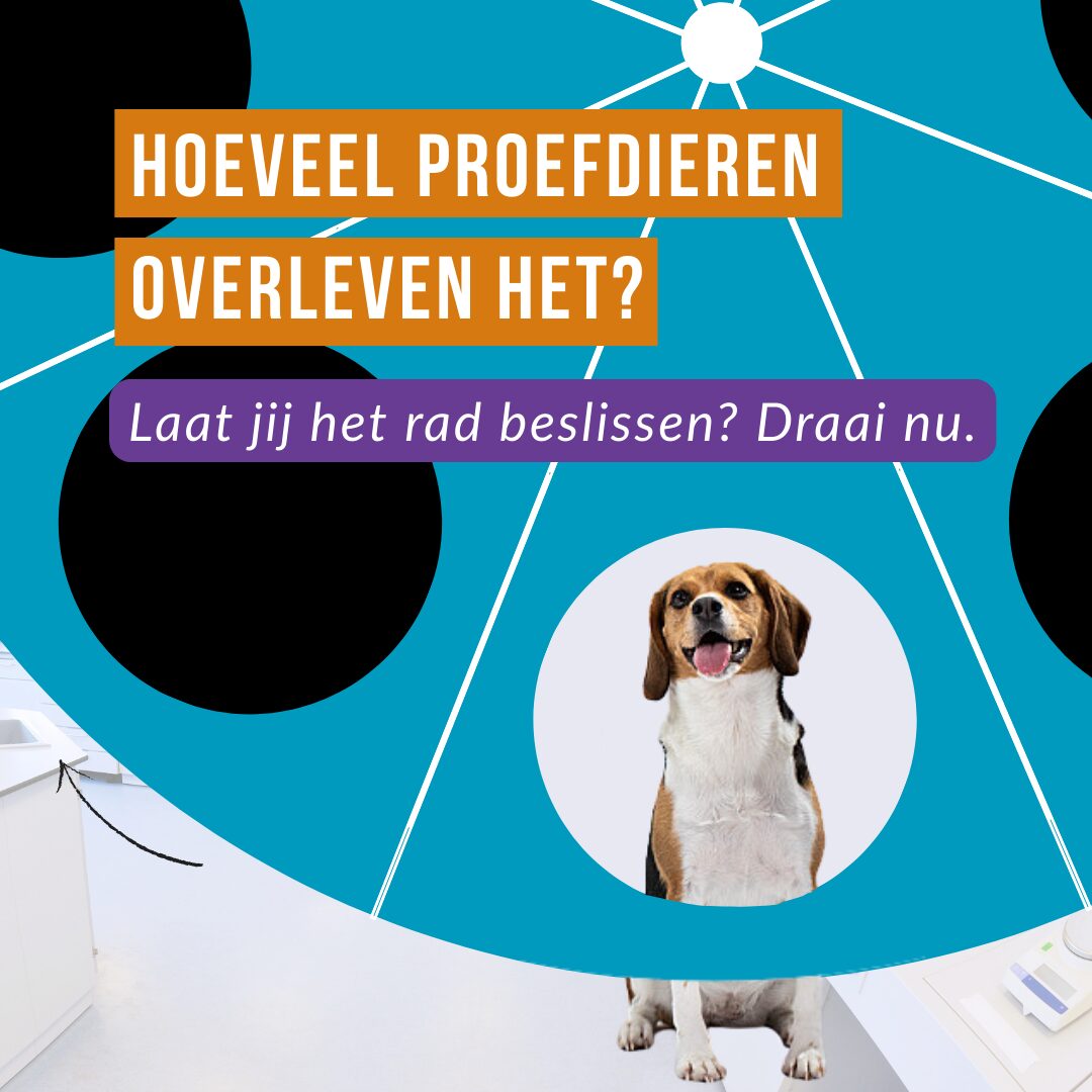 Hoeveel proefdieren overleven het? - Laat jij het rad beslissen? Draai nu.
