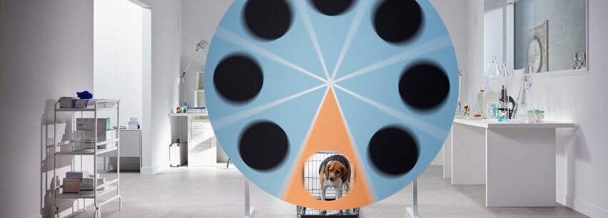 Rad met gesloten vakken, onderin een opening met daar achter een open kooi met Beagle Lola